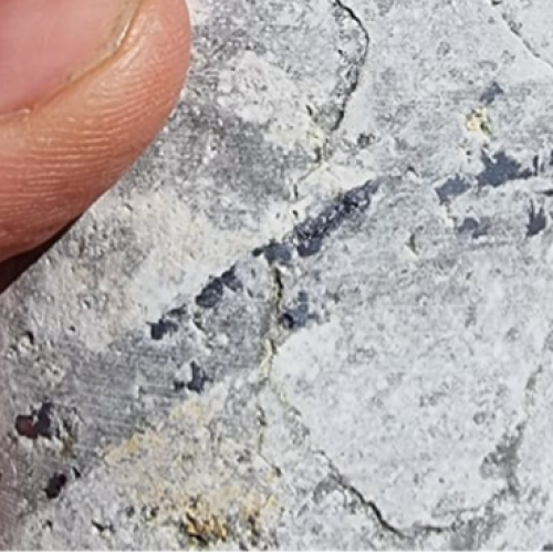 LATE STAGE MOLYBDENITE VEINING IN HOLE DDHC 22-002