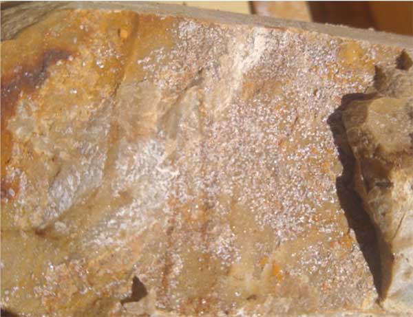 Fig 4. Native Silver Mineralization To Be Confirmed