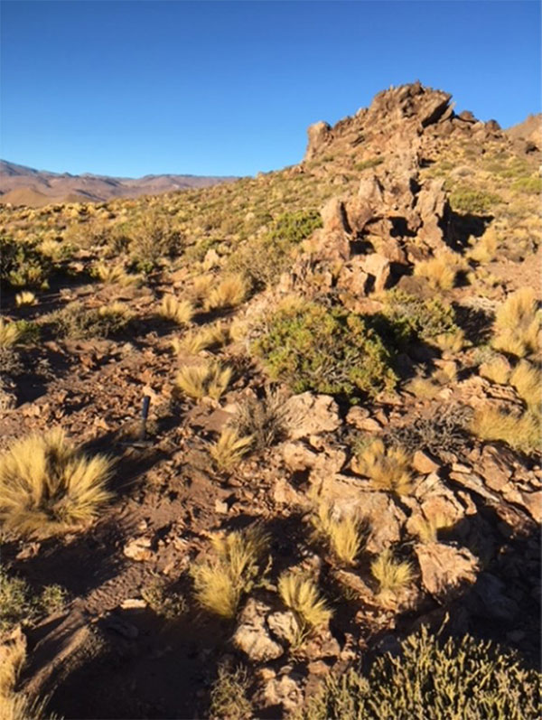 Photograph of Outcropping Silica Breccia at Laderas